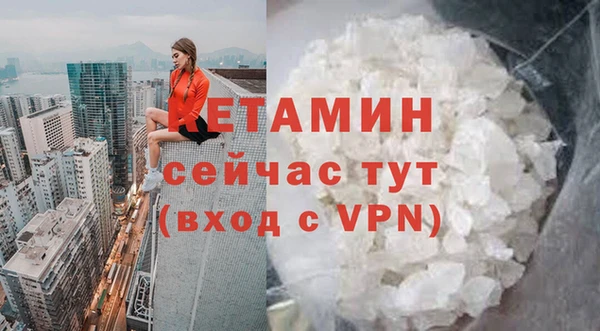 гидра Белокуриха