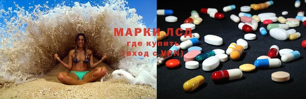 гидра Белокуриха